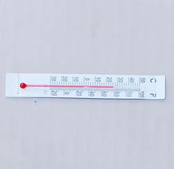 Little Giant, Incubator Thermometer - Augusta Cooperative Farm