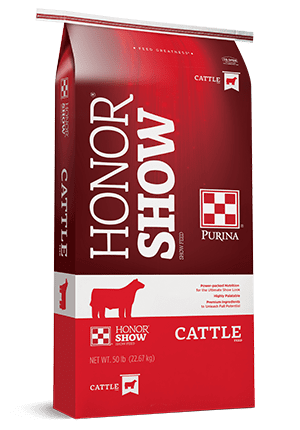 Honor show chow 2025