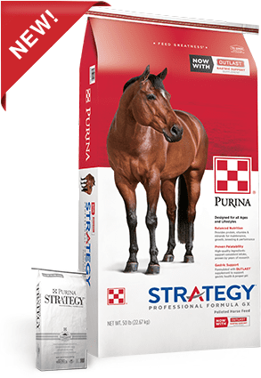 Purina, Strategy Pro Formula GX, 50 lbs. - Augusta Cooperative Farm Bureau,  Inc.