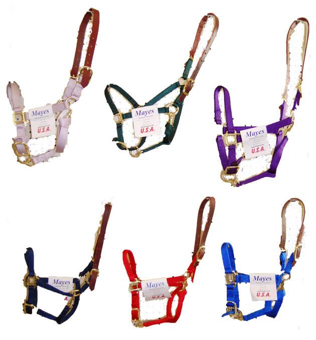 Mayes, Breakaway Halter, Large Horse, Asst Colors - Augusta Cooperative ...