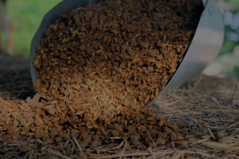 livestock feed