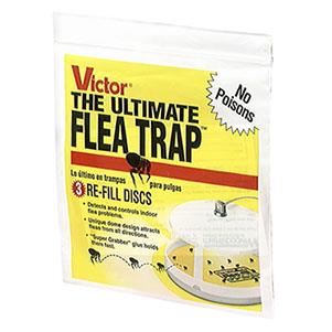 Flea trap clearance