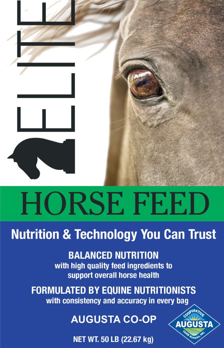 Augusta, Elite Pleasure, 123.5, Textured, 50 lbs. Augusta Cooperative Farm Bureau, Inc.