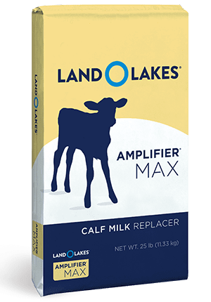 amplifier coop