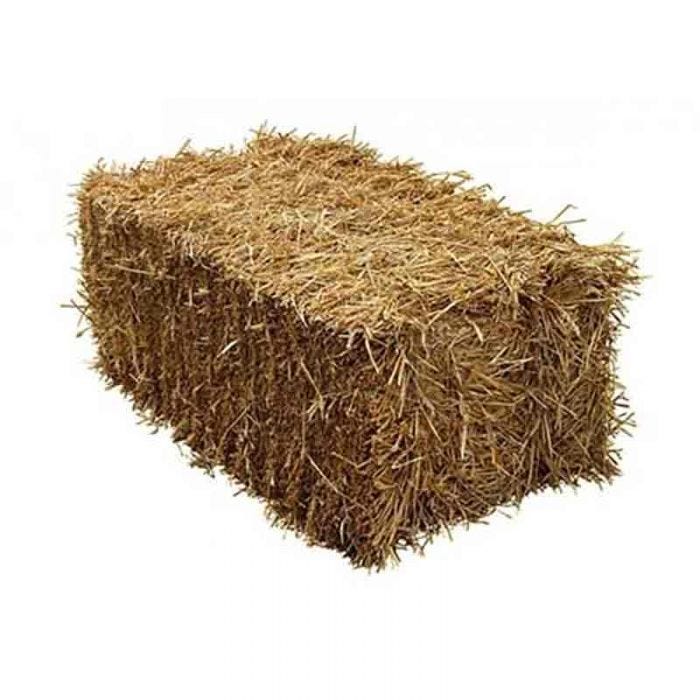 Tarter, Standard Hay Spear, 3 Point - Augusta Cooperative Farm